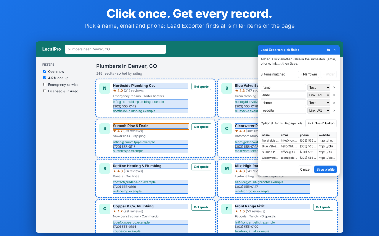 Lead Exporter highlighting every business card in a directory after one click